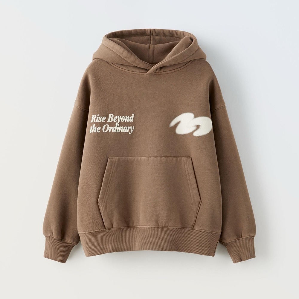 Zara Brown Sweatshirt Hoodie Rise Beyond the Ordinary